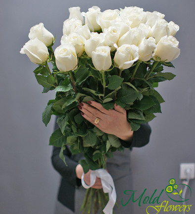 Buchet din 23 trandafiri albi premium olanda 80-90 cm (la comanda, 10 zile) foto 394x433